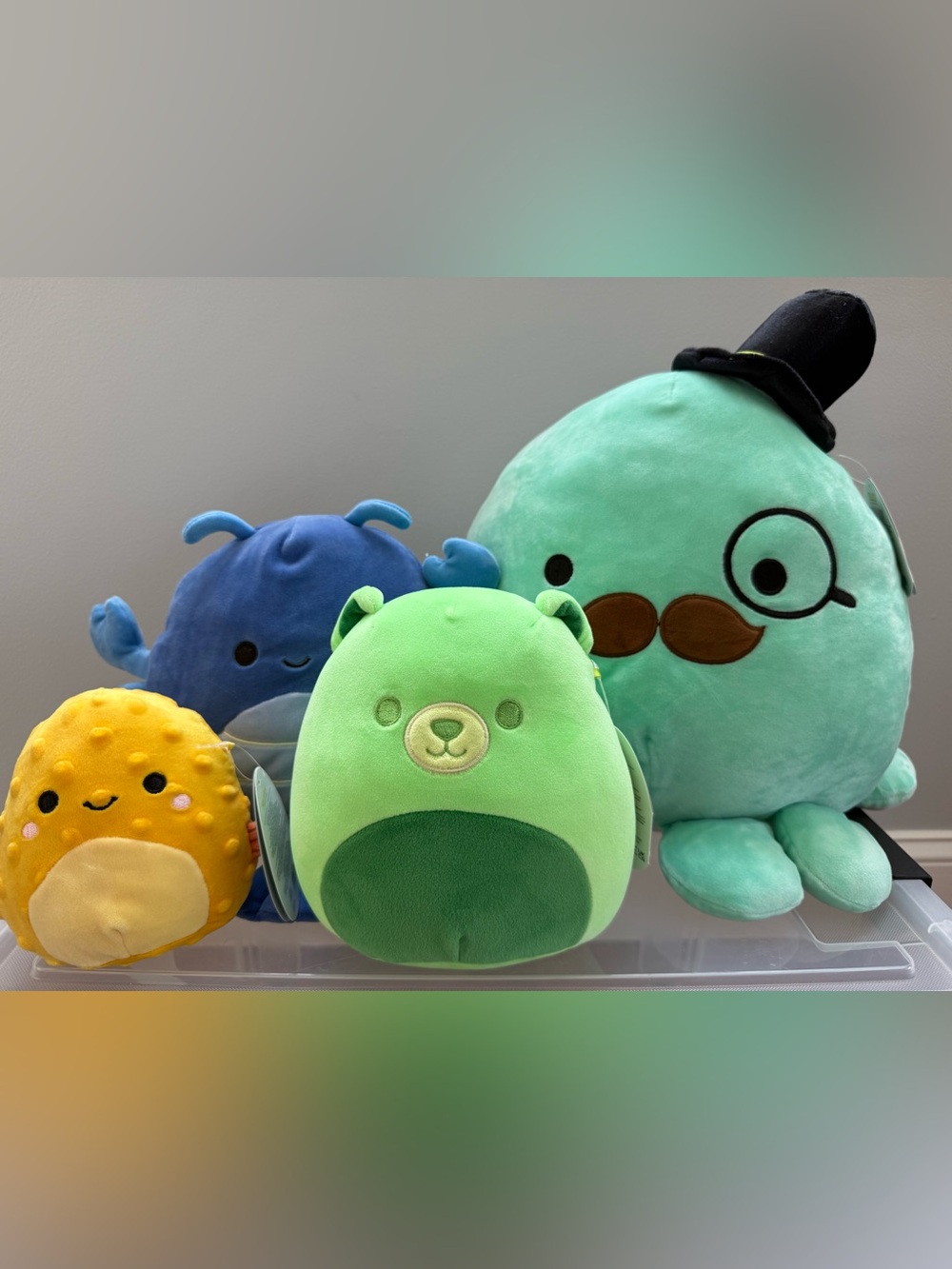 Four piece Squishmallow Bundle!